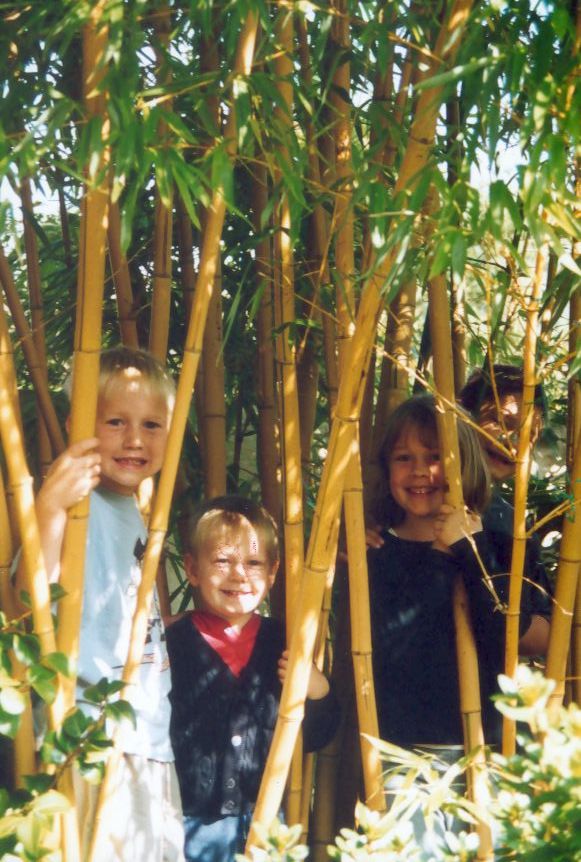 Zurck zur Gartengestaltung 
