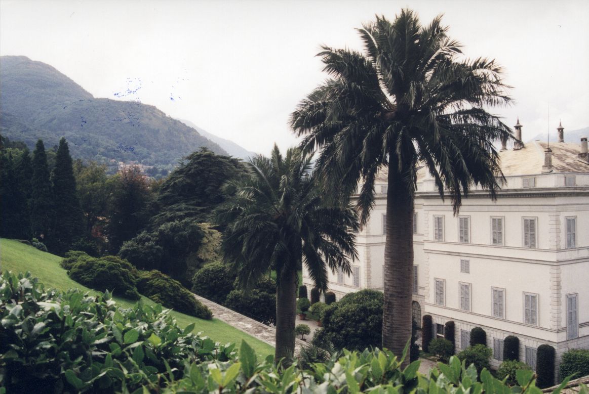 Zurck zu Einstieg in die Jubaea chilensis