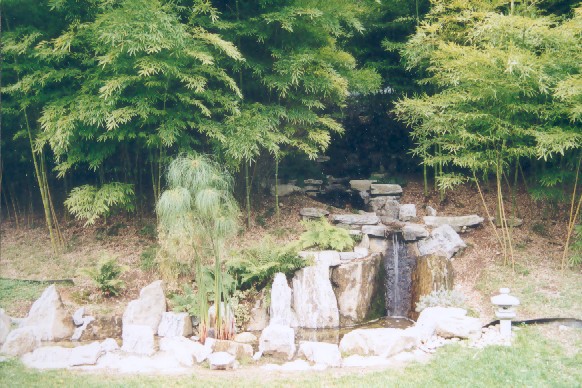 Zurck zur Gartengestaltung