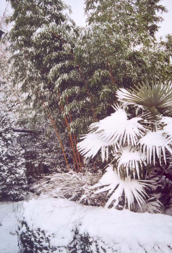 Zur�ck zu Winterh�rte