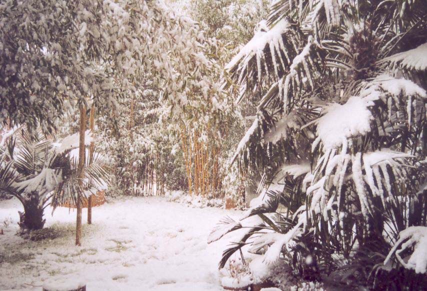 Zur�ck zu Winterh�rte