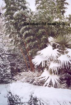 größeres Bild