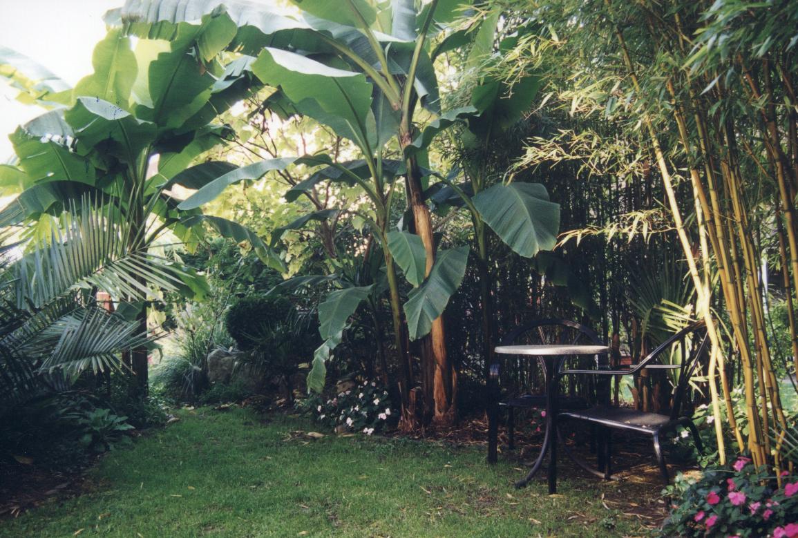 Zurck zu "Mein Garten"